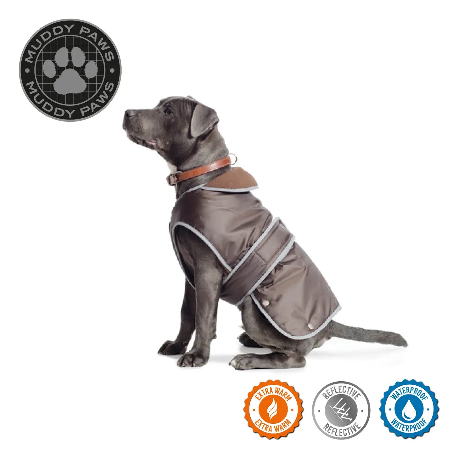 Ancol dog coats with harness holes hotsell