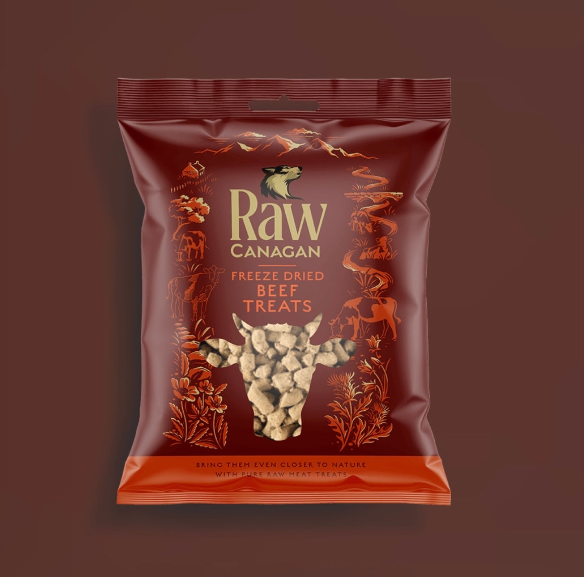 Canagan Raw Freeze Dried Beef Treats