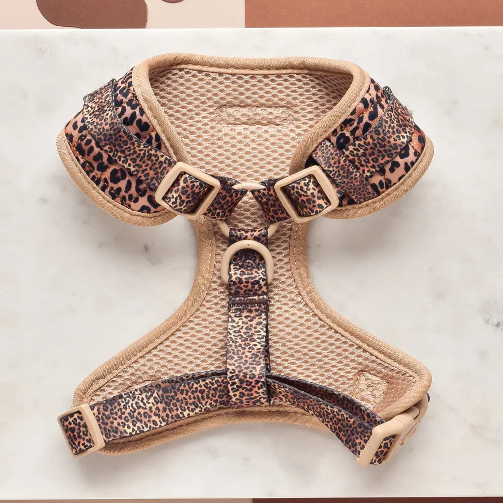 Cocopup Quilted Leopard Pup Harness