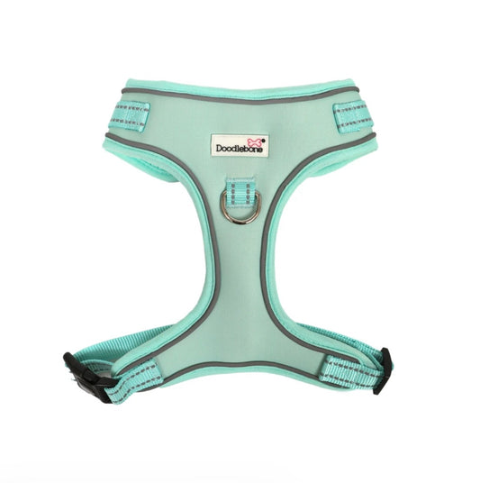 DoodleBone Mint Airmesh Adjustable Harness