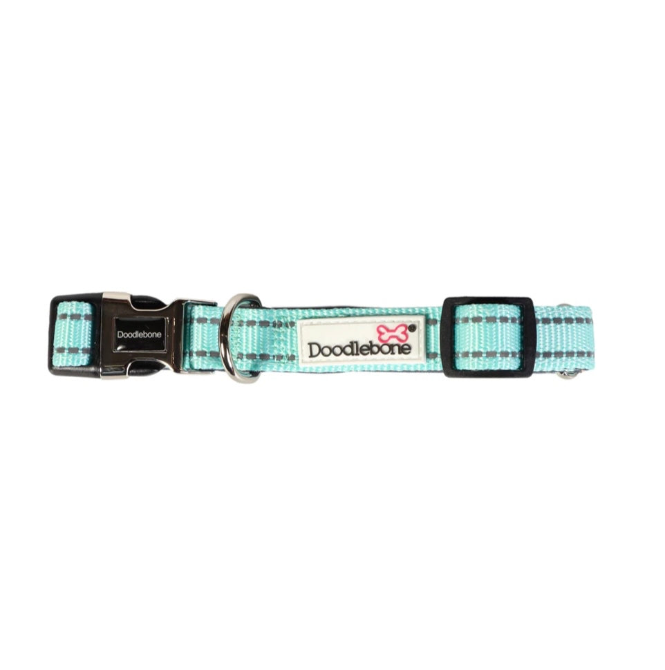 DoodleBone Padded Dog Collar