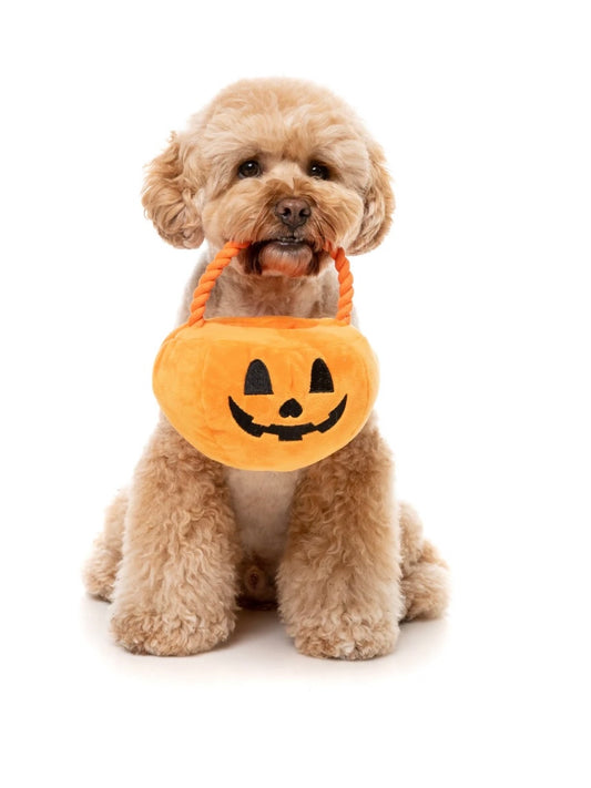 Trick or Treat Pumpkin Basket