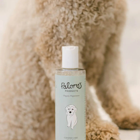 Paloma’s Products Canine Care Wash