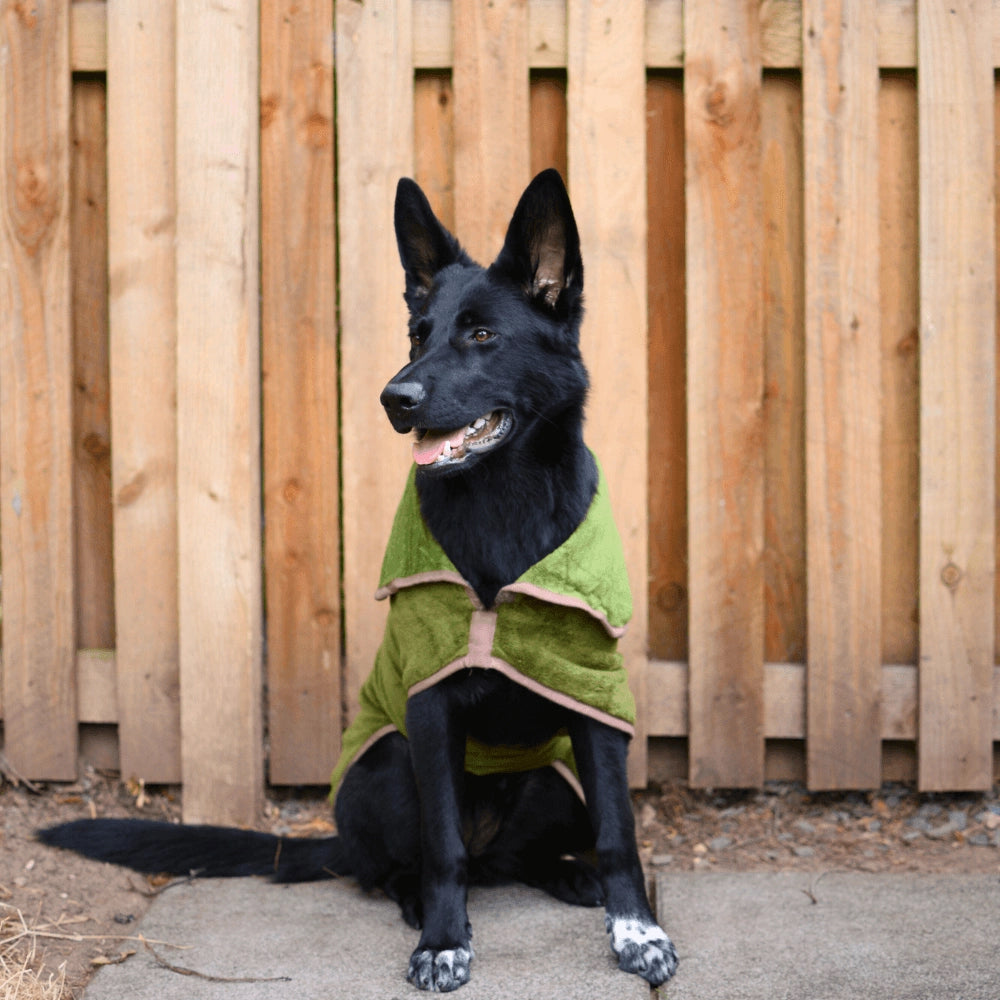 Refresh by Henry Wag Dog Drying Coat