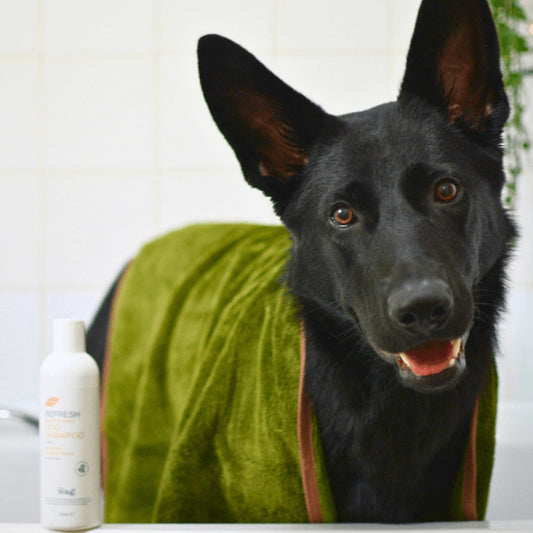 Refresh by Henry Wag Pet Towel